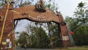 Dalma Wildlife Sanctuary Gate from NH 33