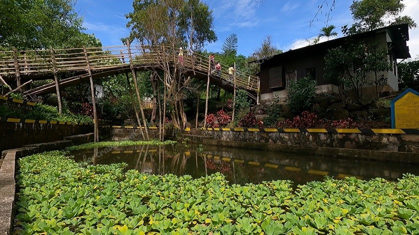 Small Pond with a bridge